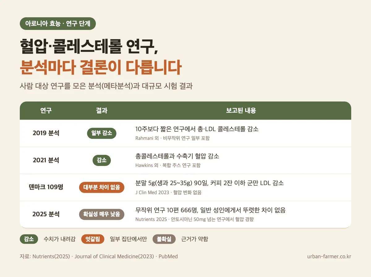 아로니아 효능 연구 근거 아로니아 효능 혈압·콜레스테롤 연구 - 2019·2021 분석은 감소, 2025 분석은 일반 성인에서 뚜렷한 차이 없음
