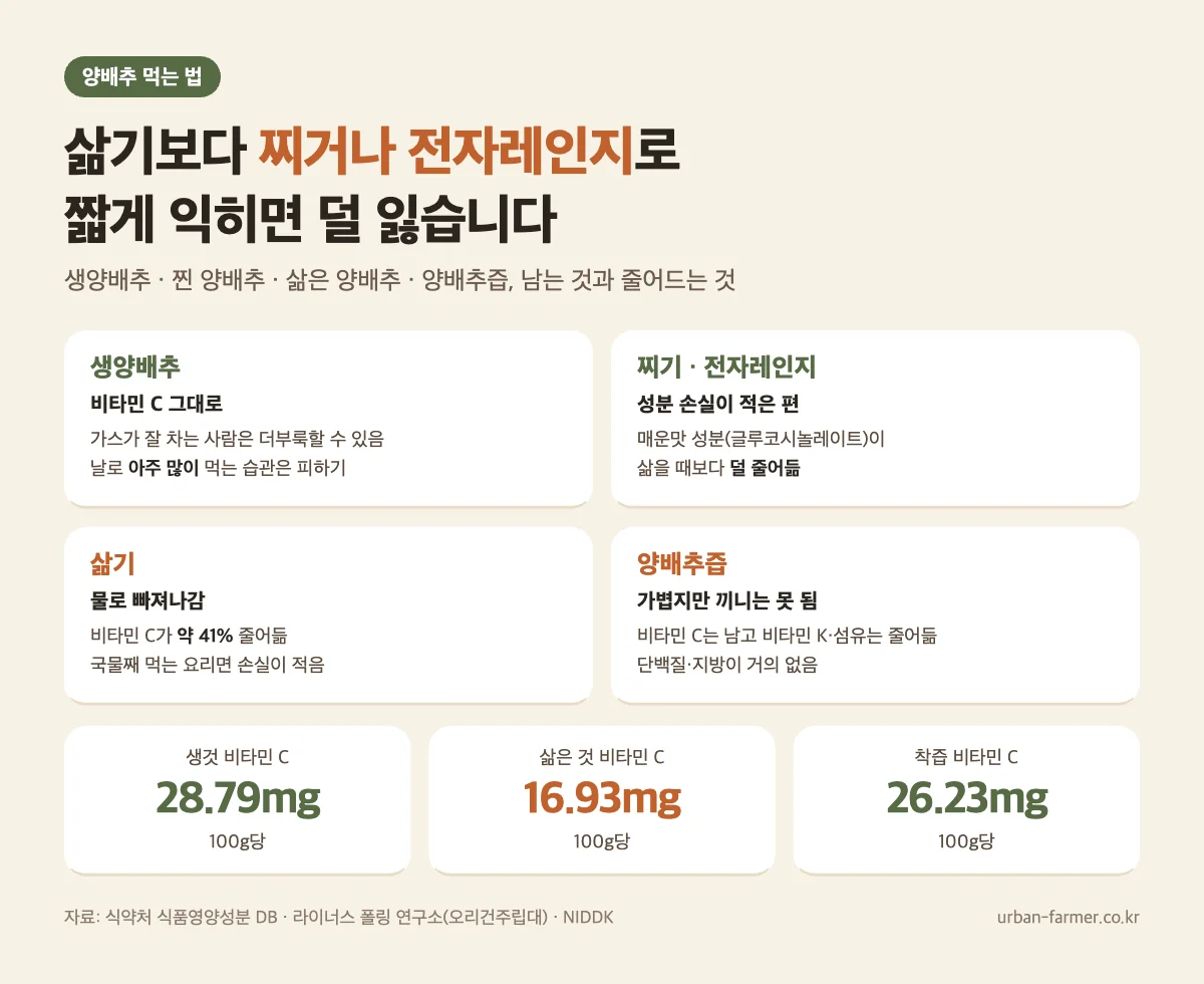 양배추 효능 먹는 법 - 생양배추·찐 양배추·삶은 양배추·양배추즙 차이, 삶으면 비타민 C 약 41% 감소