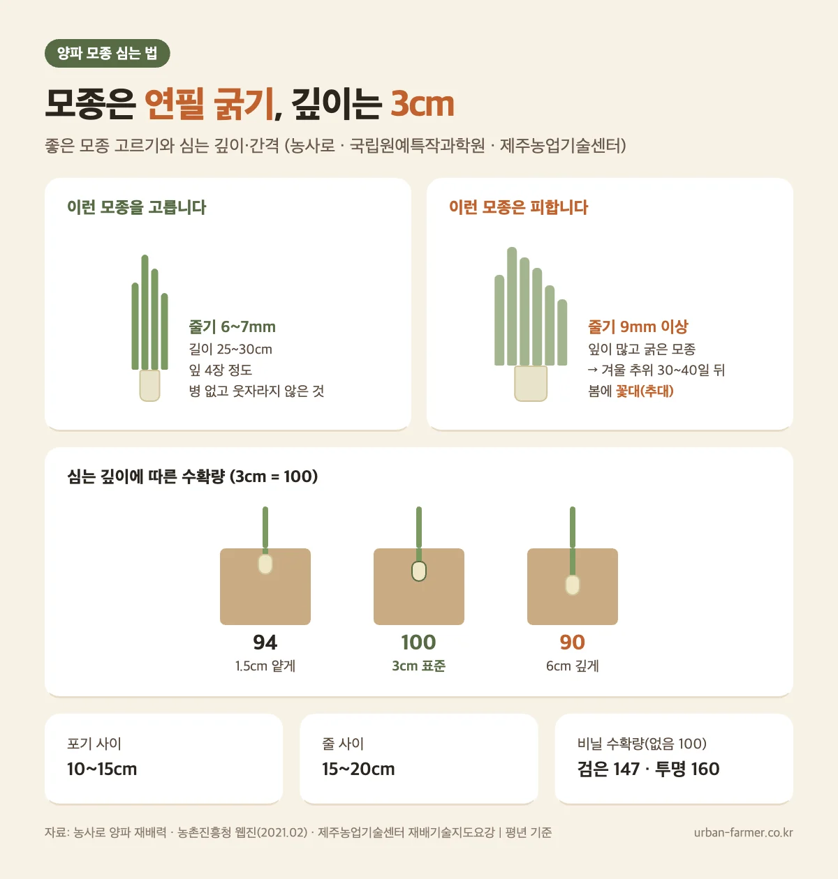 양파 모종 고르기와 심는 깊이·간격 - 줄기 6~7mm 모종, 9mm 이상은 꽃대 위험, 깊이 3cm, 포기 사이 10~15cm