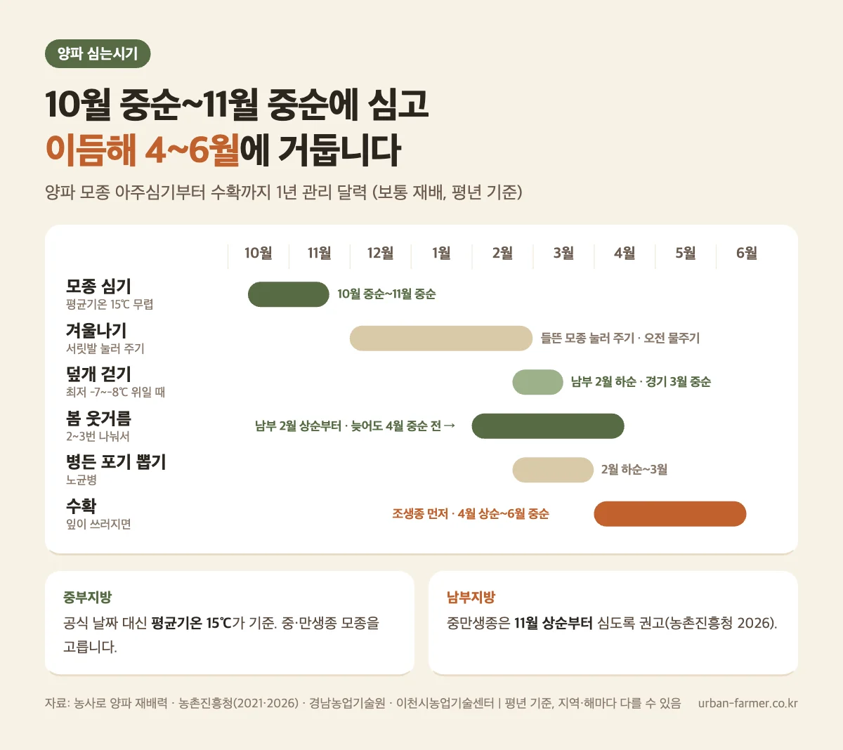 양파 심는시기 관리 달력 - 모종 아주심기 10월 중순~11월 중순, 겨울 서릿발 관리, 봄 웃거름, 수확 4월 상순~6월 중순
