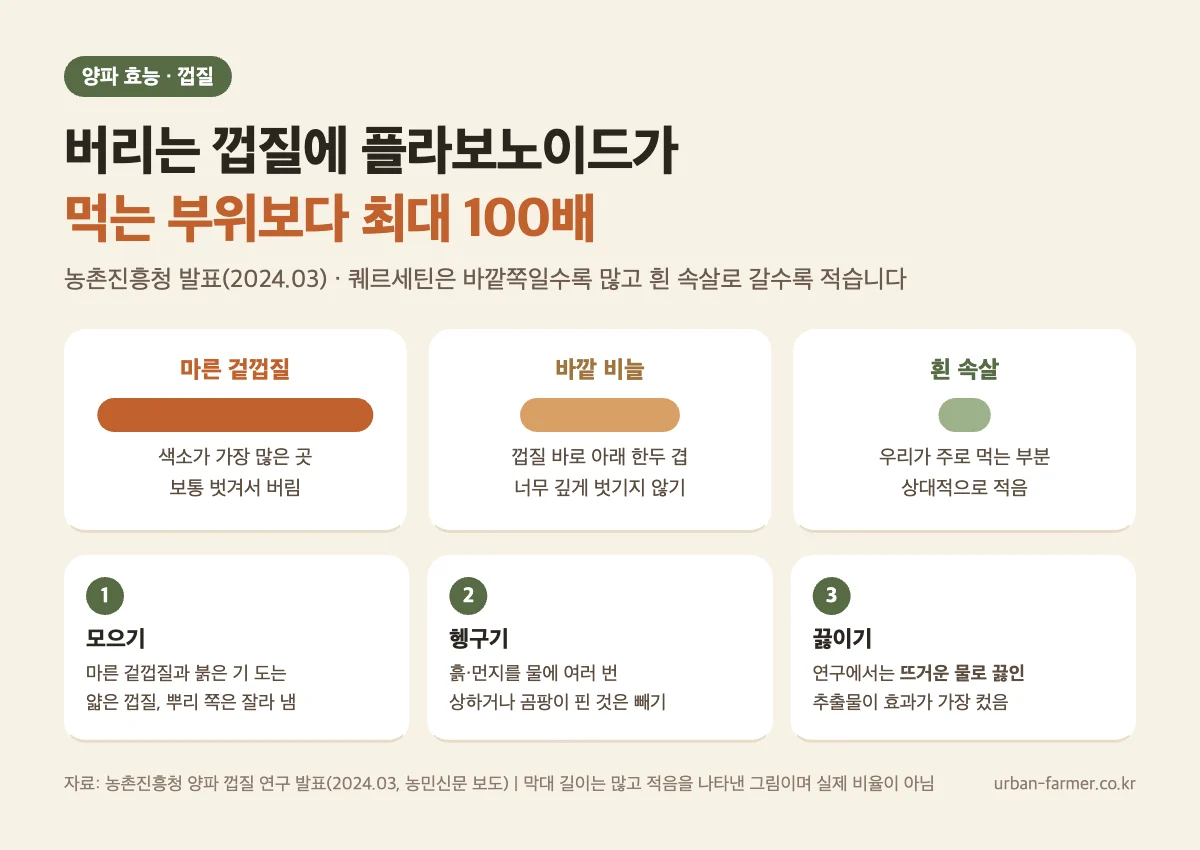 양파 효능 - 양파 껍질에 먹는 부위보다 플라보노이드 최대 100배, 양파 껍질차 모으기·헹구기·끓이기