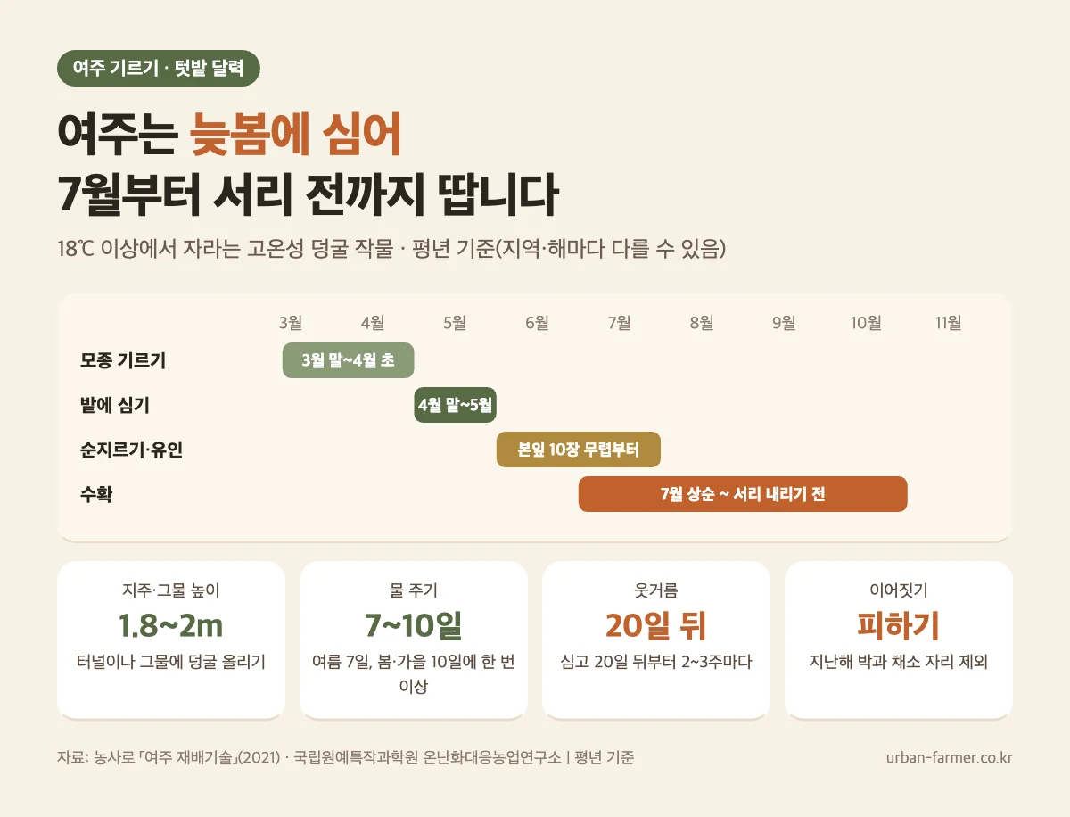 여주 키우기 텃밭 달력 여주 키우기 달력 - 3월 하순~4월 상순 모종, 4월 하순~5월 심기, 7월 상순부터 서리 전까지 수확, 지주 1.8~2m