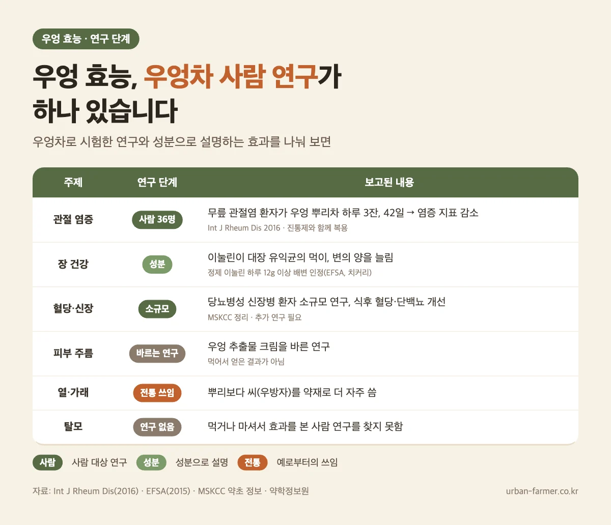 우엉 효능 연구 단계 우엉 효능 연구 단계 - 우엉차 하루 3잔 42일 무릎 관절염 사람 연구, 장 건강은 이눌린 성분, 탈모는 연구 없음