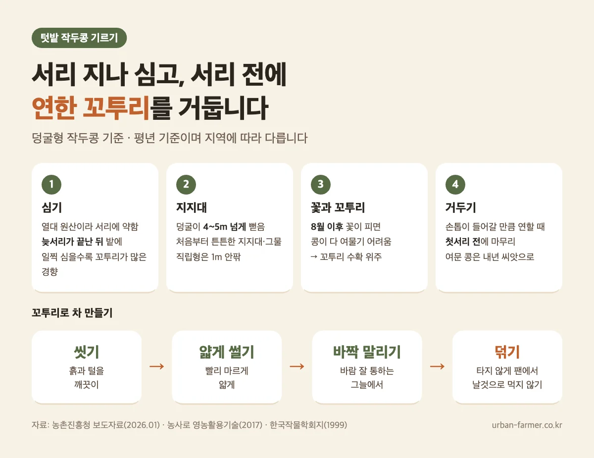 작두콩 기르기와 꼬투리 차 만들기 작두콩 기르기와 꼬투리 수확 - 늦서리 뒤 심기, 덩굴 4~5m 지지대, 첫서리 전 수확, 작두콩차 만들기 씻기·썰기·말리기·덖기