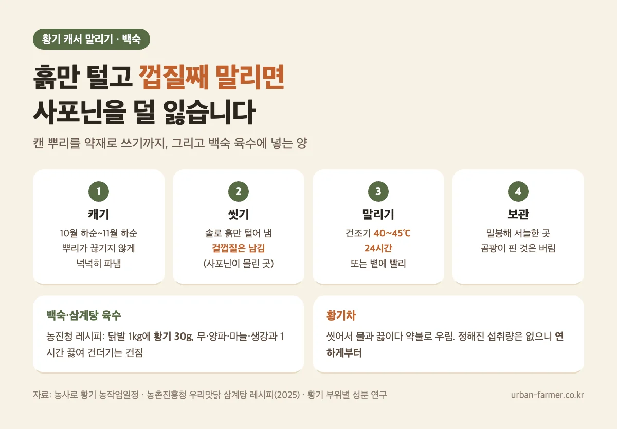 황기 말리기와 백숙 육수 황기 캐서 말리기와 백숙 - 흙만 털고 껍질째 40~45℃ 24시간 건조, 백숙 육수는 닭발 1kg에 황기 30g